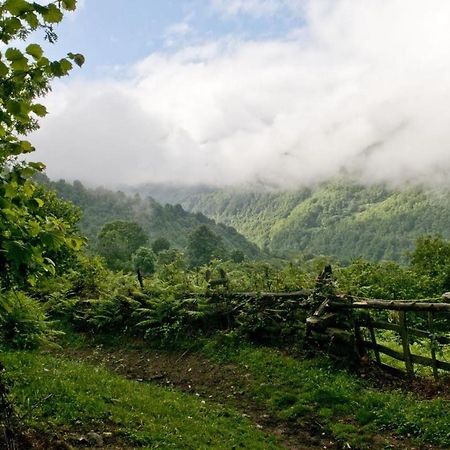 Apto. De Montana La Campa En Felechosa Εξωτερικό φωτογραφία