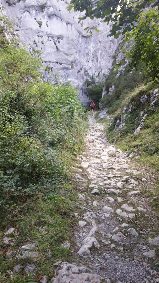 Apto. De Montana La Campa En Felechosa Εξωτερικό φωτογραφία