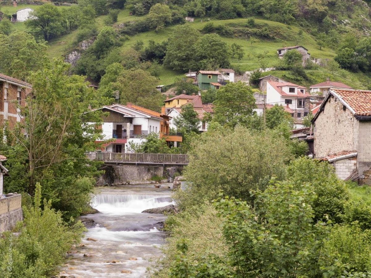 Apto. De Montana La Campa En Felechosa Εξωτερικό φωτογραφία